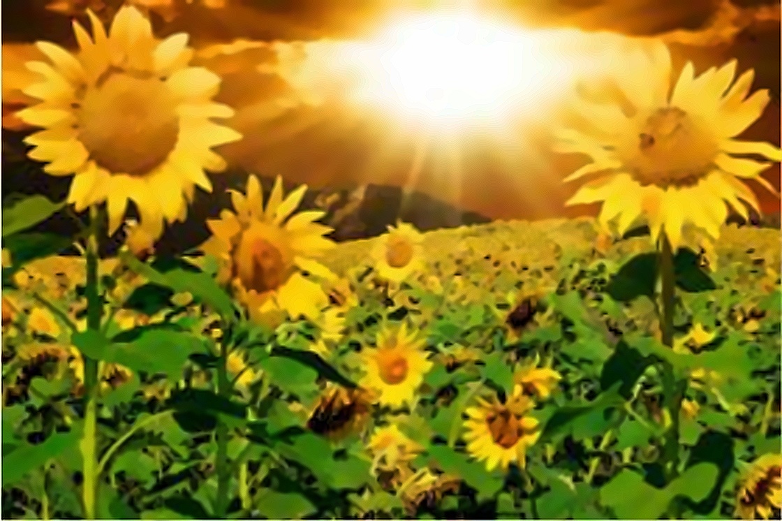 blog-img