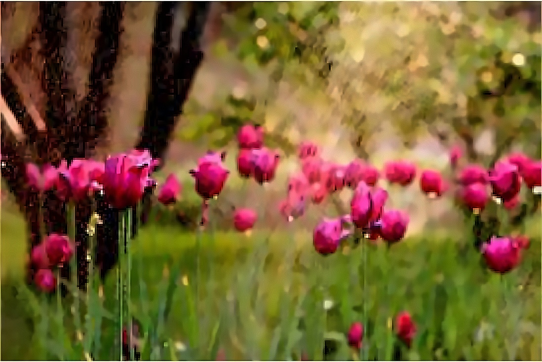 blog-img