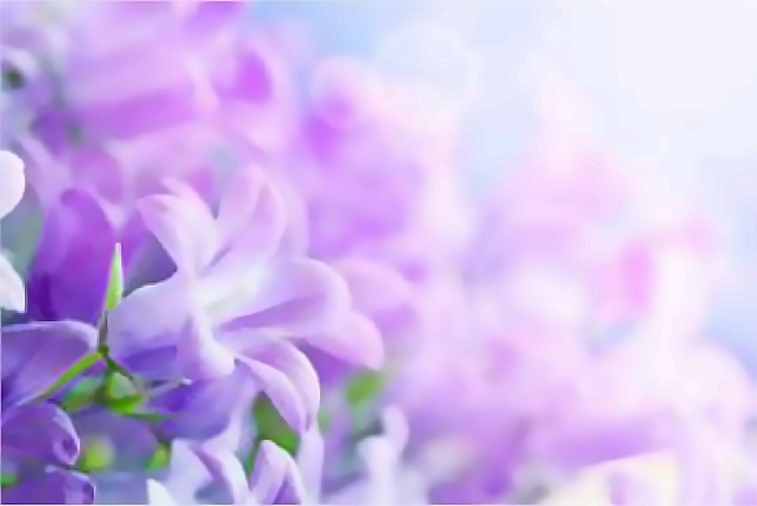 blog-img